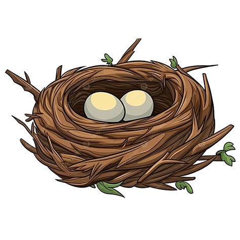 Cartoon Nest Clip Art