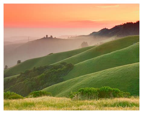 Healing in Nature Series: Windy Hill - Green Foothills