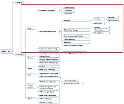 Inter- and Intra-Observer Agreement When Using a Diagnostic Labeling ...
