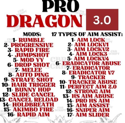 Image result for Pro Dragon Free Zen Script