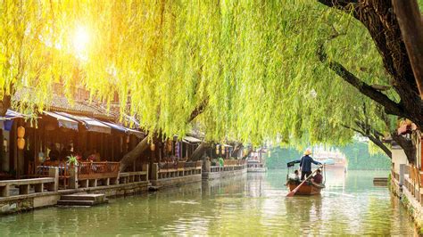 必应图片 的图像结果