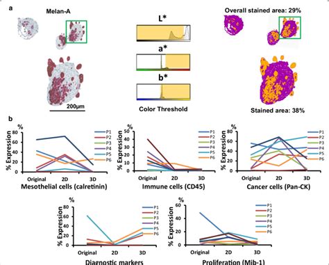 Image result for IHC Staining