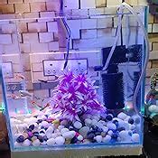 Parko Home Decoration Turtle Aquarium Tank Beautiful Fashion Clear ...