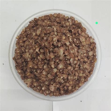Aval – orlydryfruits