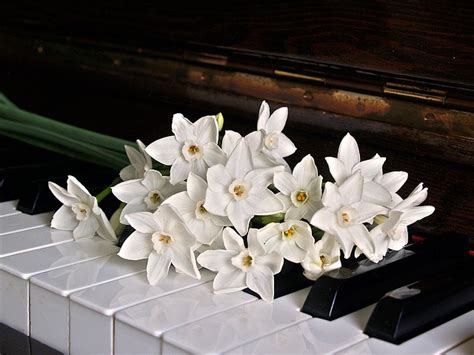 Image result for Classical Music for Spring