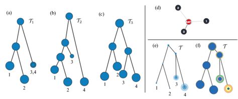 Merge Trees Algorithm 的图像结果