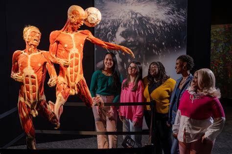 Body World’S 2025 – Body Worlds Official Site – GERK