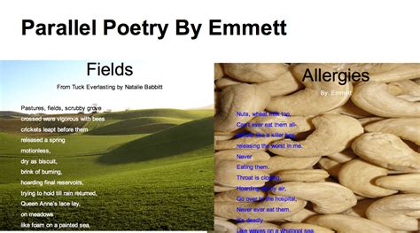 Image result for Examples of a Parallel Syntax in Literary