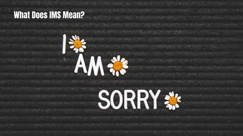 What Does IMS Mean | Complete Guide and Explanation for 2026