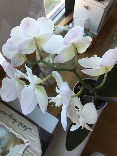 Peryam & Kroll Research - Chicago, IL 60631