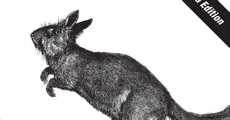 Python Cookbook 的图像结果