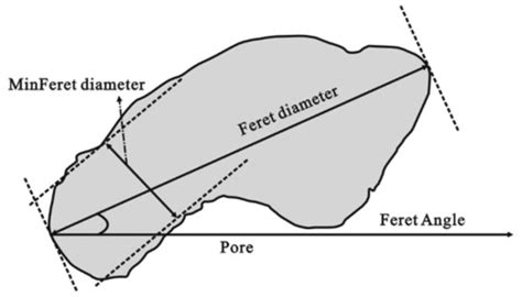 Pore Microstructure and Multifractal Characterization of Lacustrine Oil ...
