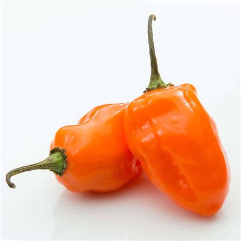 PEPHAB01# | Orange Habanero Pepper (1#) - Pacific Coast Fresh Co.
