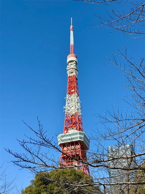 Structure Picture 的图像结果