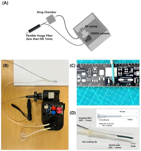 Flexible-Imaging-Fiber-Guided Intratracheal Intubation in Rodents