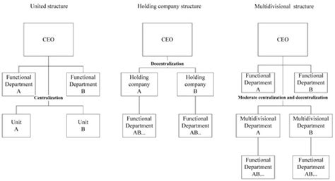 Symmetric Modeling of Diversification Strategy and Organizational ...