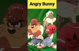Image result for Funny Angry Bunny
