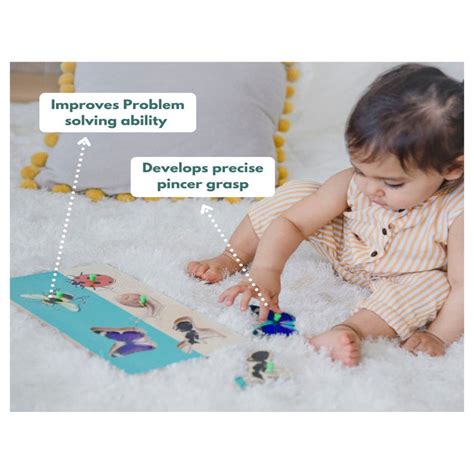 Curious Cub Montessori Box - 16 Months + (Level- 8) — Toycra