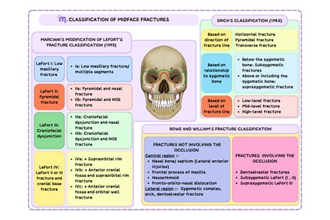 Classification of Midfacial Fractures: Systems and Exam Tips – Medi ...