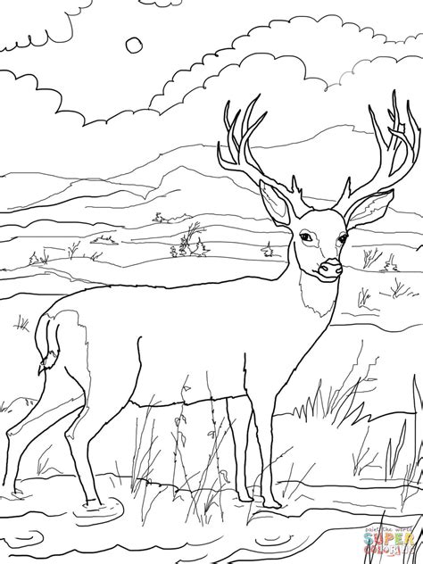 Deer Hunting Coloring Pages For Kids