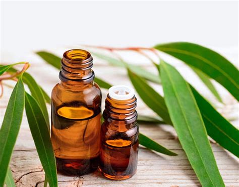 30 Types of Essential oils their Benefits, Uses and Side effects | FITPASS