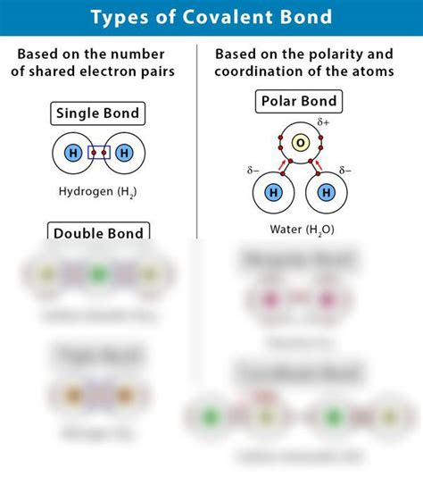 Image result for Covalent Bond Types