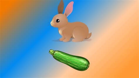 Can Rabbits Eat Zucchini? Is It Safe? - Pet Feeder Tips