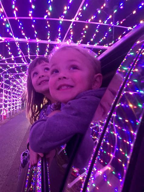 Holiday Lights Across the Bluegrass