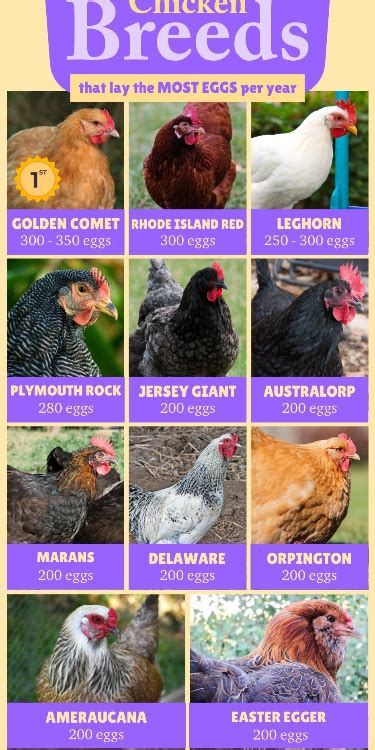 Image result for Chicken Fried Tutorial