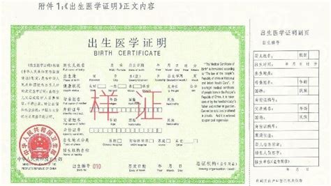 出生医学证明，怎么办理公证书？，中国公证处海外服务中心