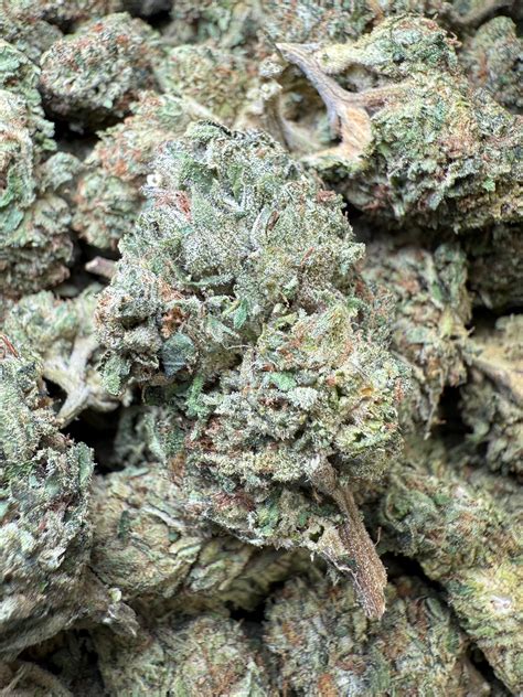 Venom OG THCA Flower | Premium Indoor Indica Hybrid | Frisco Labs – Frisco Labs Fulfillment Center