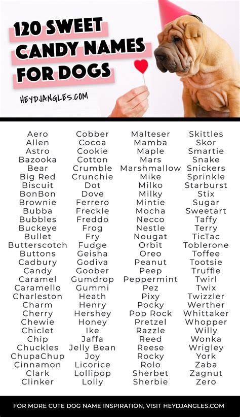 120 Sweet Candy Names for Dogs - Hey, Djangles.