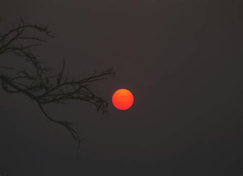 Solar System Full 的图像结果