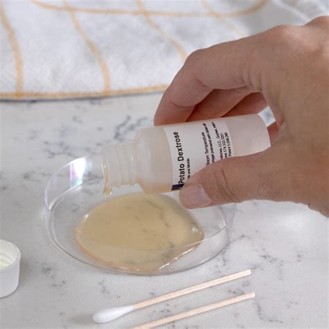 MOLD ARMOR Do It Yourself Mold Test Kit - Mold Armor