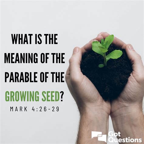 Bible Verse Sowing The Seed at Margarito Gravely blog