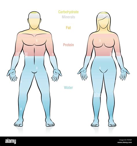 Fat human hi-res stock photography and images - Alamy