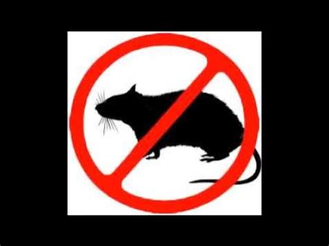 Image result for Mouse Repel Sound Download