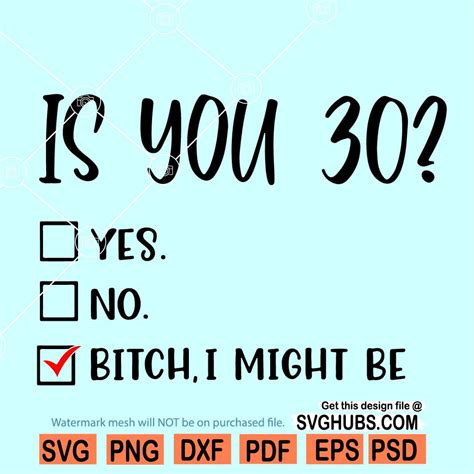 Is You 30 Bitch I Might Be SVG, 30th Birthday SVG, Is You 30 SVG