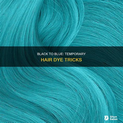 Black To Blue: Temporary Hair Dye Tricks | ShunSalon