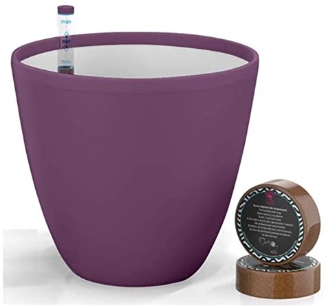 Self Watering Pots for Indoor Plants - Flower Pot with Water Level ...