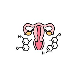 Uterus - Free arrows icons