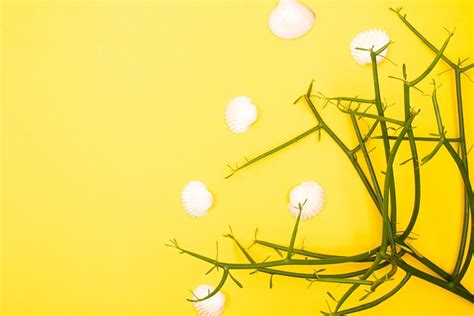 Advice Background Background Background Background Background Background Background Background HD Wallpaper