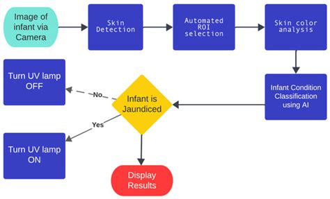 Real-Time Jaundice Detection in Neonates Based on Machine Learning Models
