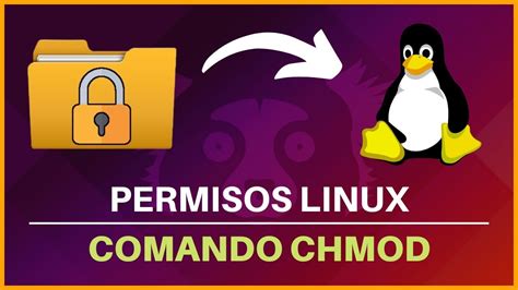 Chmod Ubuntu 的图像结果