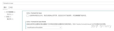 Format JavaScript Vscode 的图像结果
