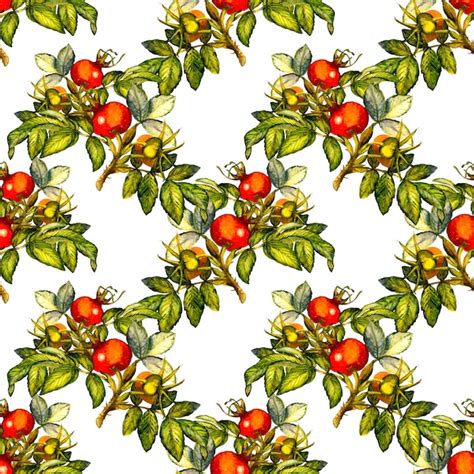 Watercolor rose hip seamless pattern on white background | Premium Vector