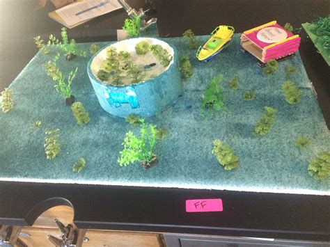 Image result for DIY Science Models