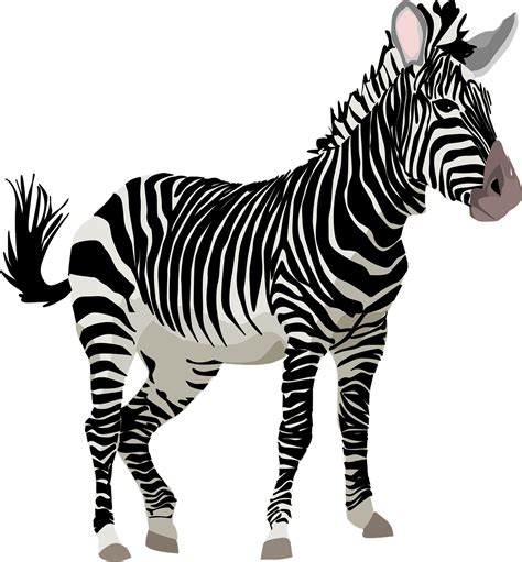 Zebra Clip Art Free