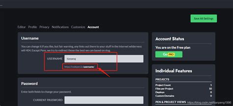 How to Export URL Code Pen 的图像结果