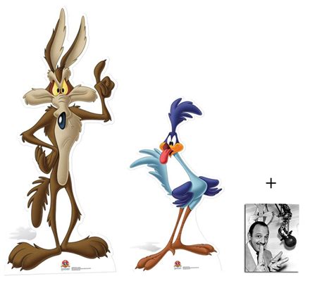 Buy Fan Pack - Road Runner and Wile E Coyote Looney Tunes Cardboard ...